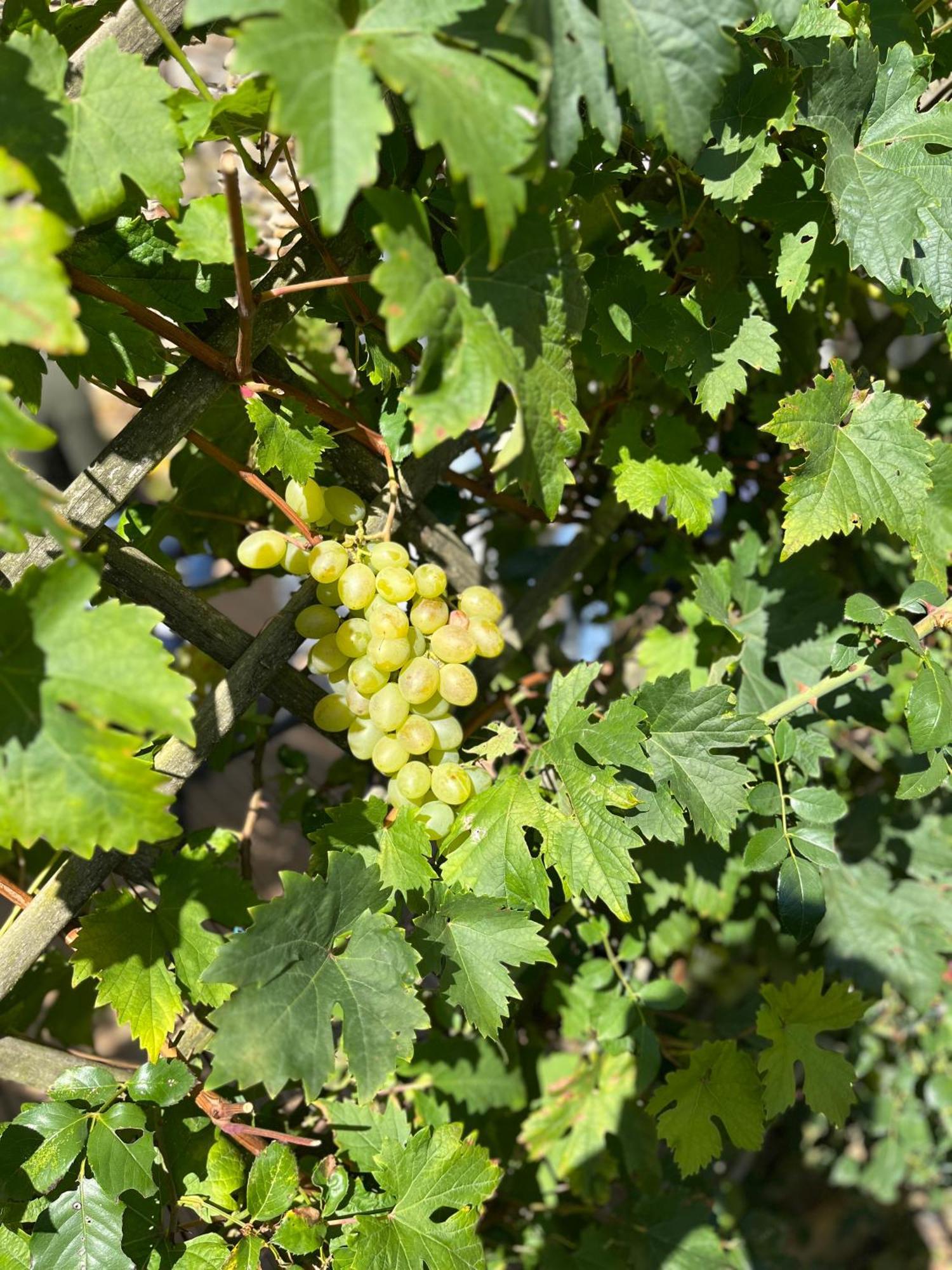 Halte Vendeenne Atypique Saint-Germain-l'Aiguiller Kültér fotó